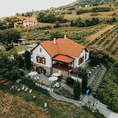 Badacsony Ria Villa *