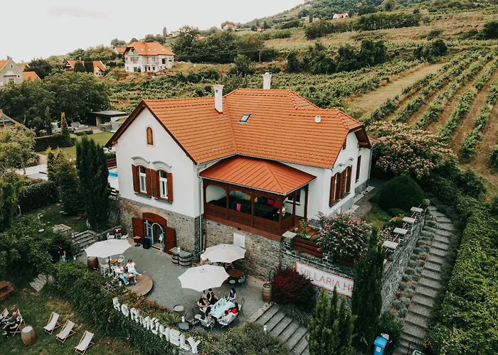 וילה Badacsony Ria *